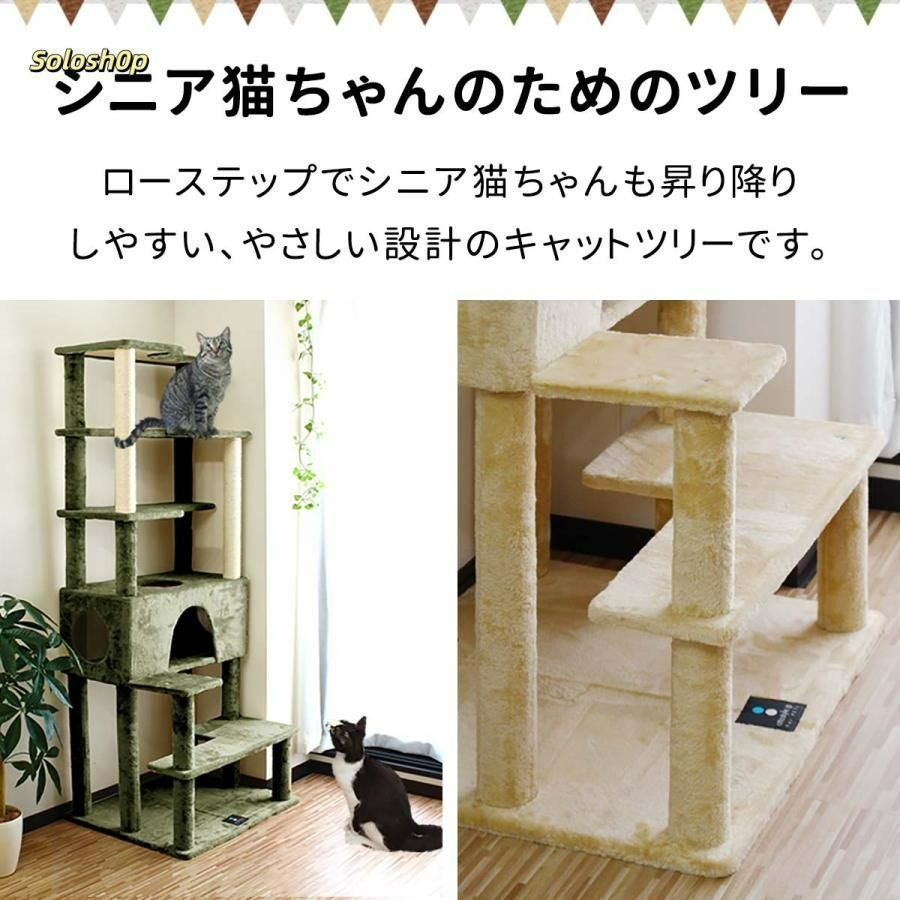 ねこ かわいい