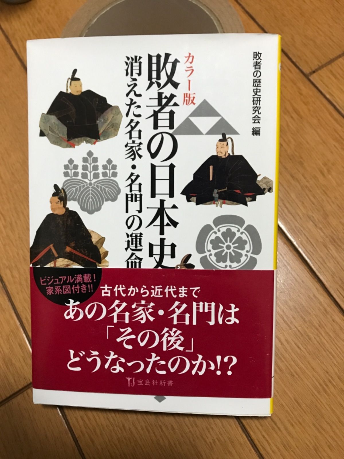 カラー版 敗者の日本史 (宝島社新書)