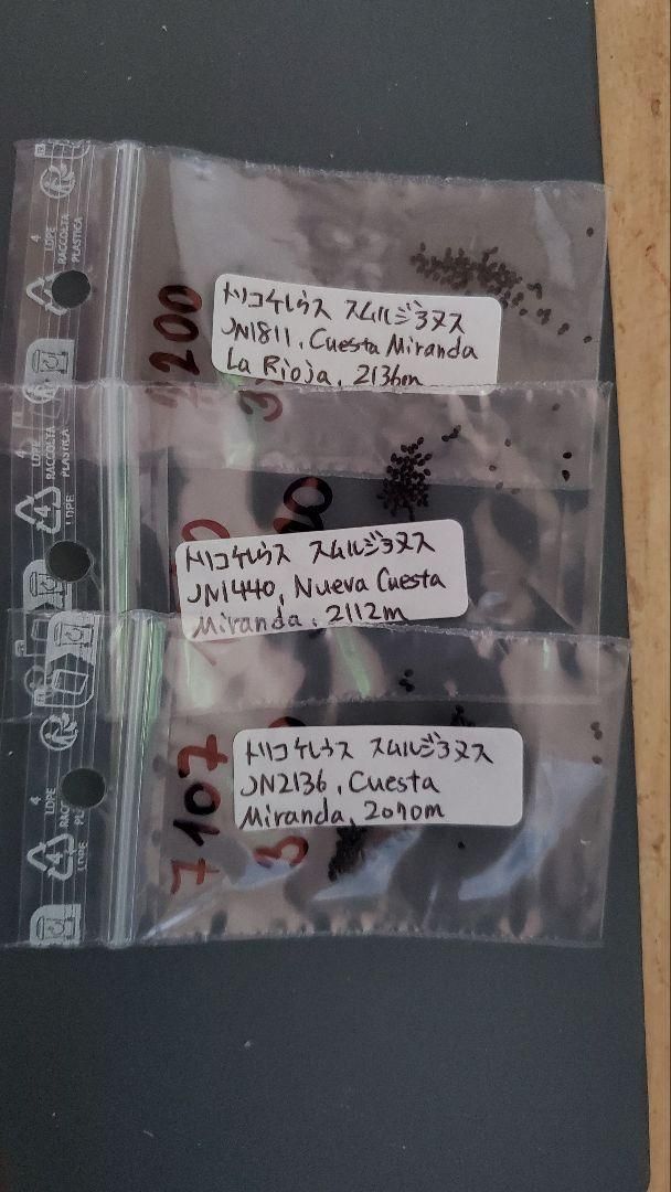 種子45種類 10粒ずつセット