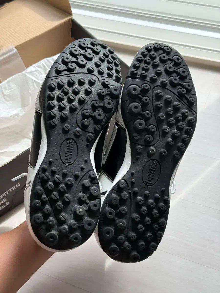 アニメ化決定！】「生徒会にも穴はある！」特製単行本着せ替えカバー