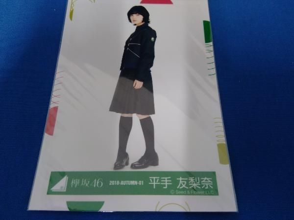 欅坂46 2018-AUTUMN-01 平手友梨奈 生写真 - メルカリ