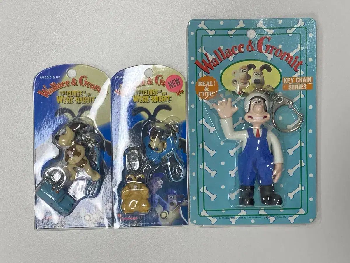 INI直筆サイン入り写真を合計5名様にプレゼント！ | TBS CS［TBS