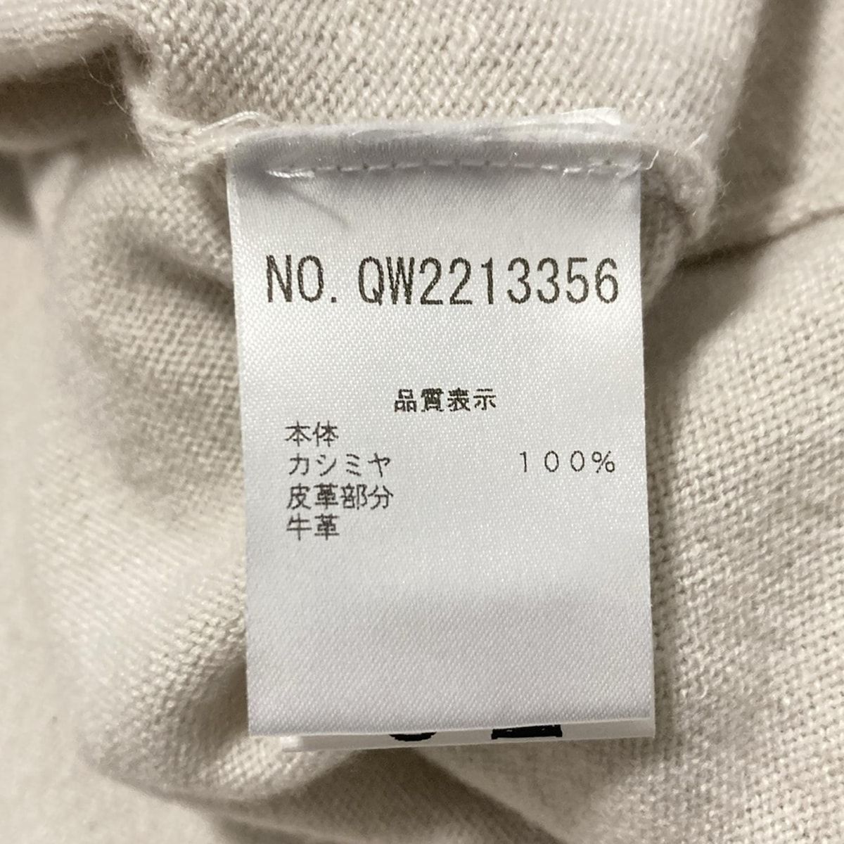 ファビアーナフィリッピ