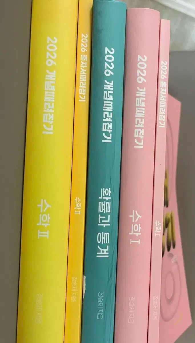 チョン スンジェ 概念を打ち壊して自分のものに