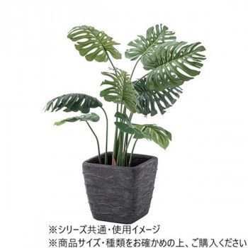 ダークグレー