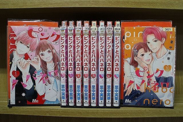 ライジングサンR 全18巻セット ライジングサンR ： 18 (アクションコミックス) | 藤原さとし