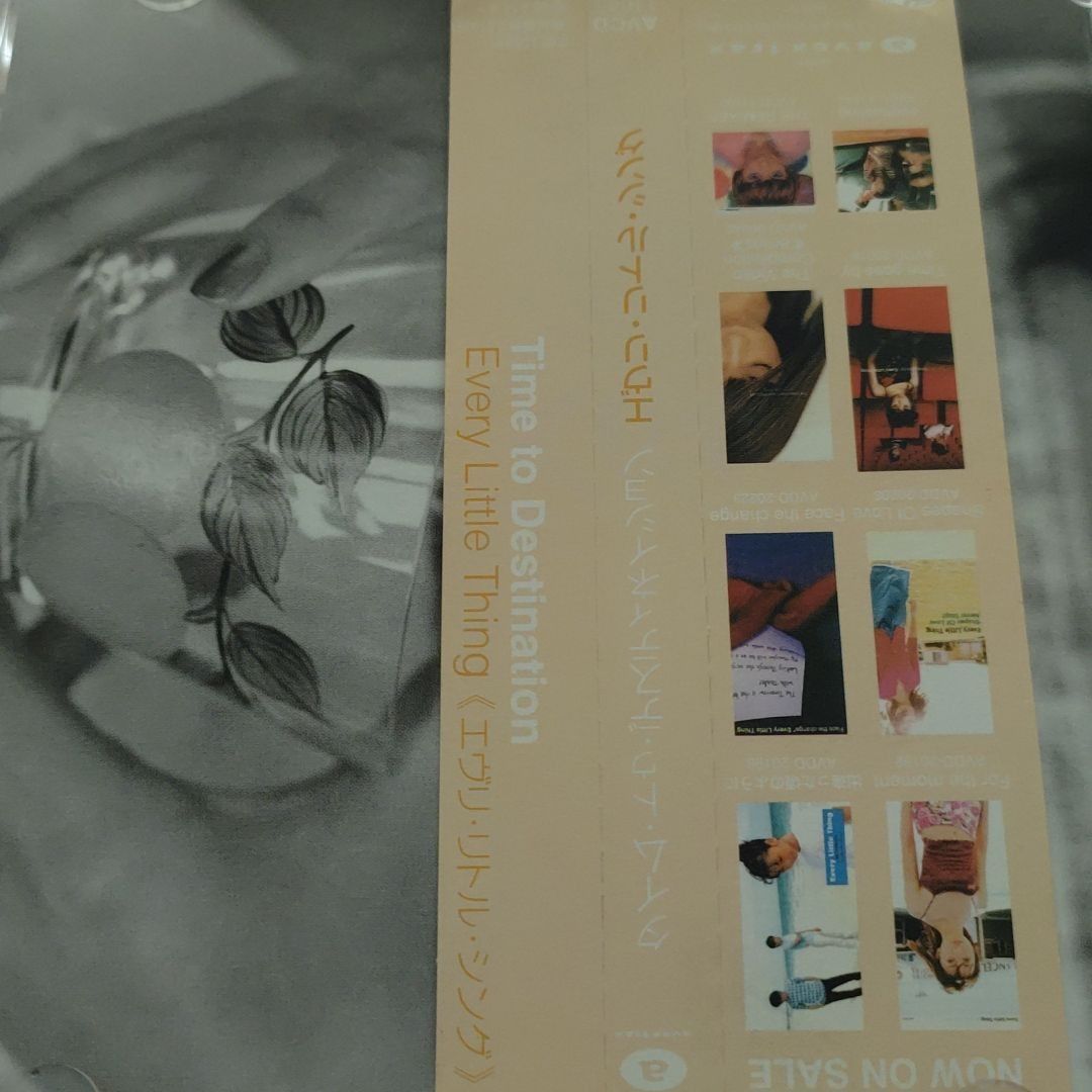 Time to Destination / Every Little