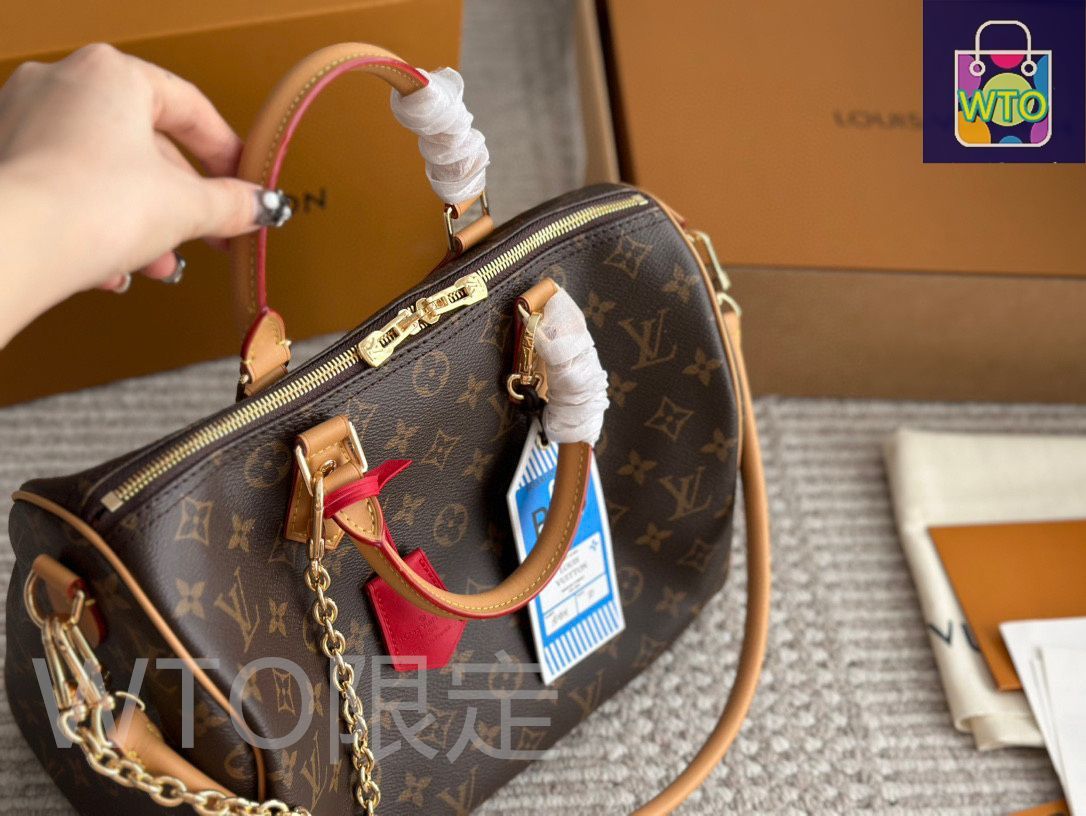 今日特価】Louis Vuitton 2024 New Speedy30 Pillow Bag・ルイ