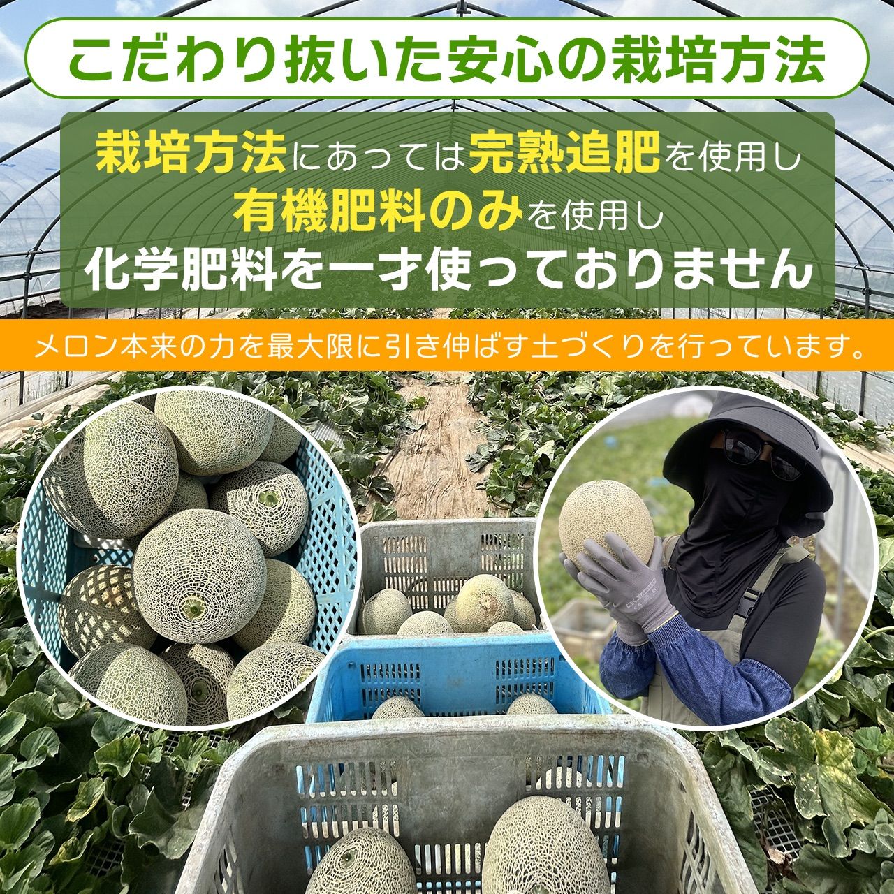 茨城県産 農家直送