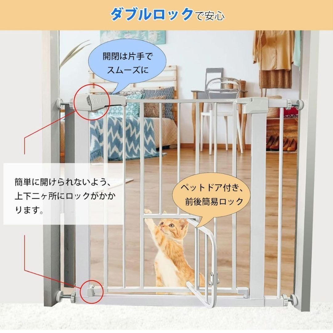 中小型 犬