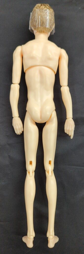 ペットワークス 六分の一男子図鑑 ナイン パンクスタイル STEELWINDOWSANDDOORS_COM