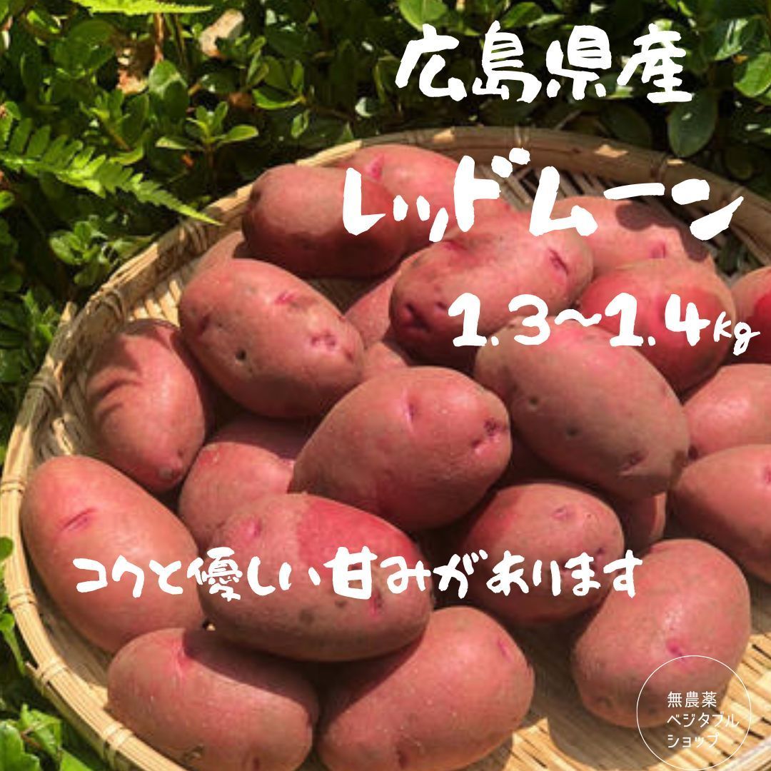 広島県産 レッドムーン じゃがいも - メルカリ