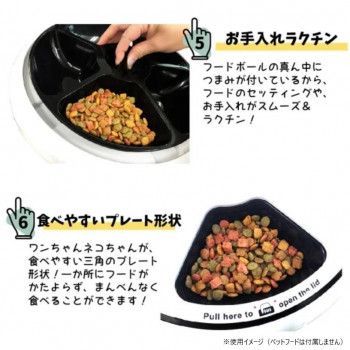 pet-028
