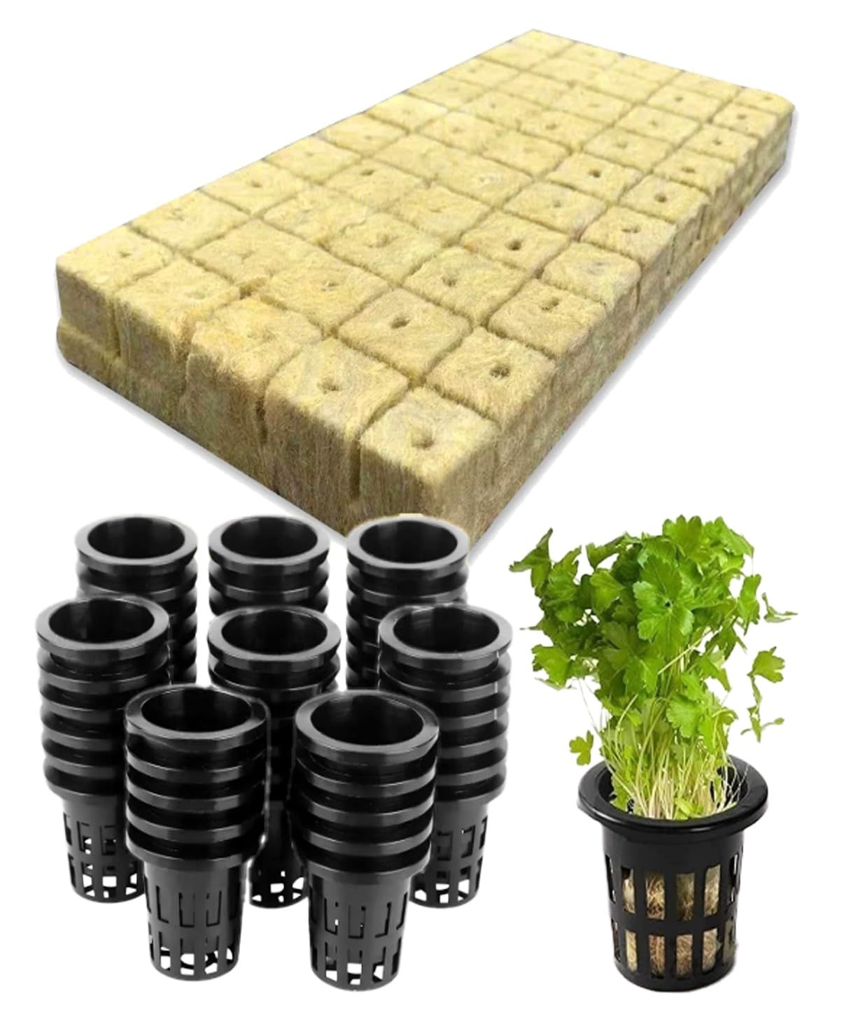 茶杓 臥龍山 両忘禅庵 大木閑忠 住職 銘『 両忘 』 共箱 茶道具 美品 です