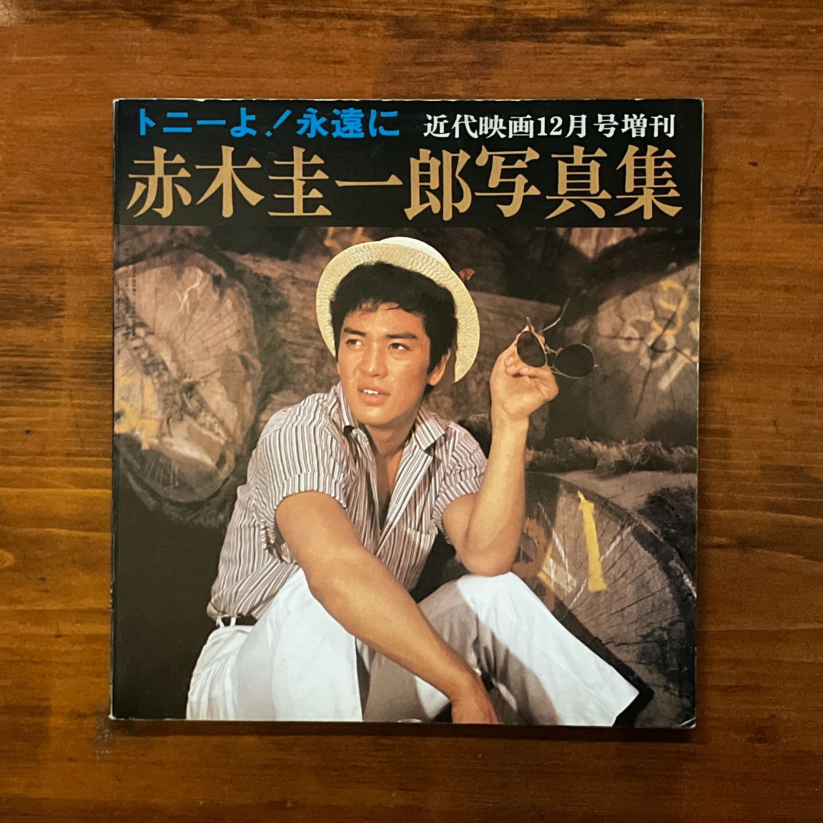 当時物/昭和51年発行/トニーよ！永遠に 赤木圭一郎写真集/近代