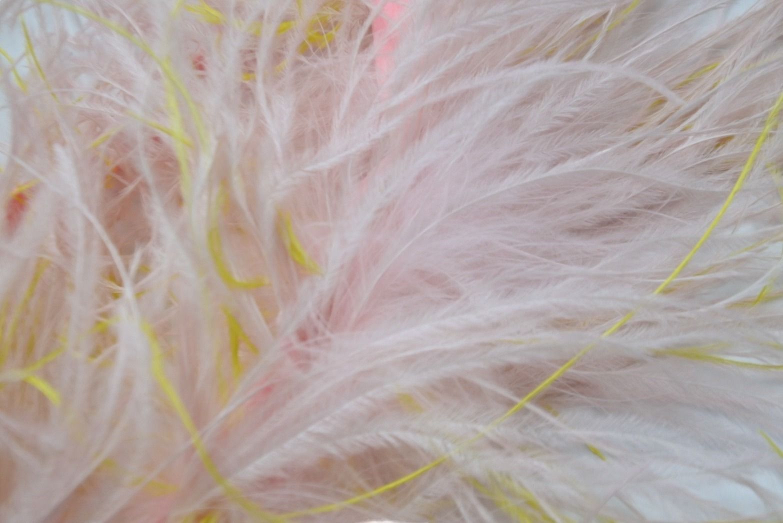 EMILIO PUCCI エミリオプッチ フェザーベルト マルチカラー ピンク