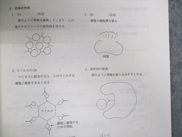 UX02-020 代ゼミ 大堀の正しく理解する生物[進化・系統分類]/[神経