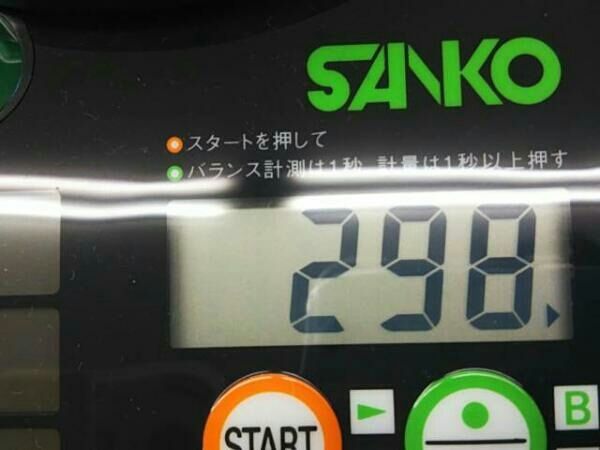 フレックスS
