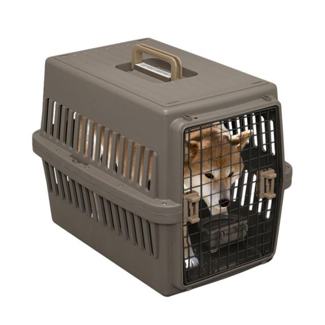 アイリスオーヤマ ペットキャリー 猫 キャリー 中型犬用 ブラウン 幅47×奥行67×高さ51cm