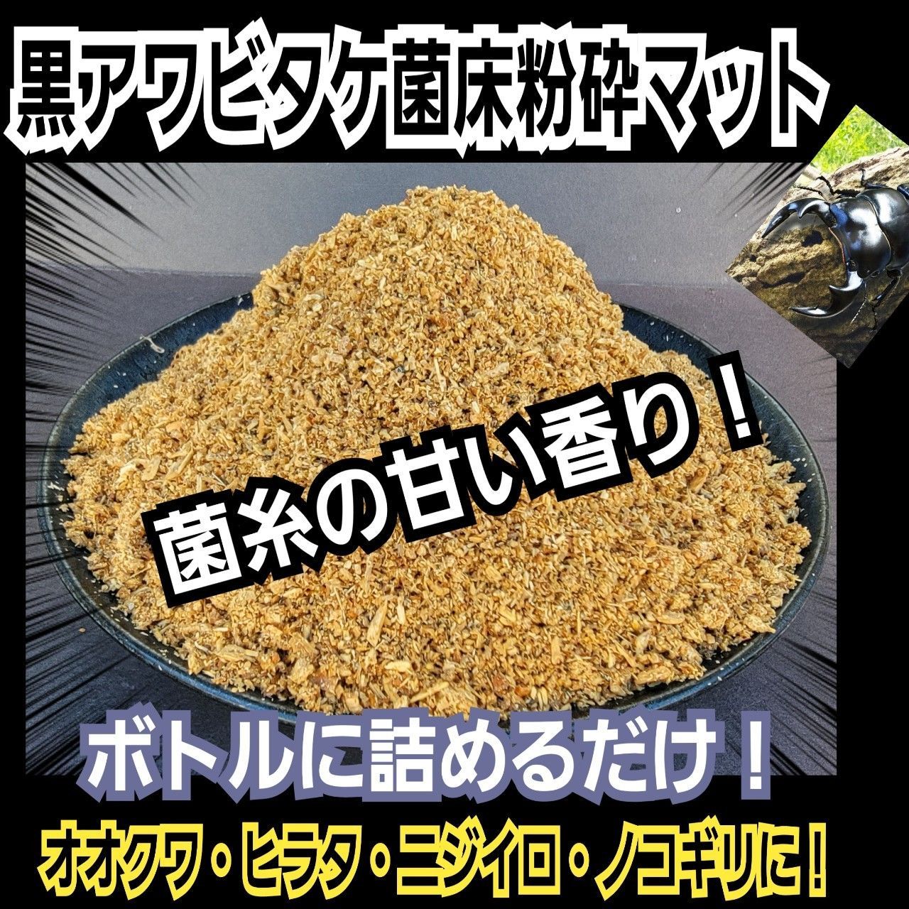 黒アワビタケ菌床粉砕クワガタマット 30リットル ボトルやカップ詰めるだけ クヌギ100％原料使用 オオクワガタ ヒラタ ニジイロ ノコギリ系にお薦め 菌糸の甘い香りがします 保存にも便利なチャック付き袋