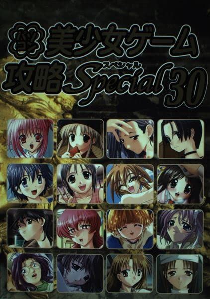 パソコン美少女ゲーム攻略Special 30