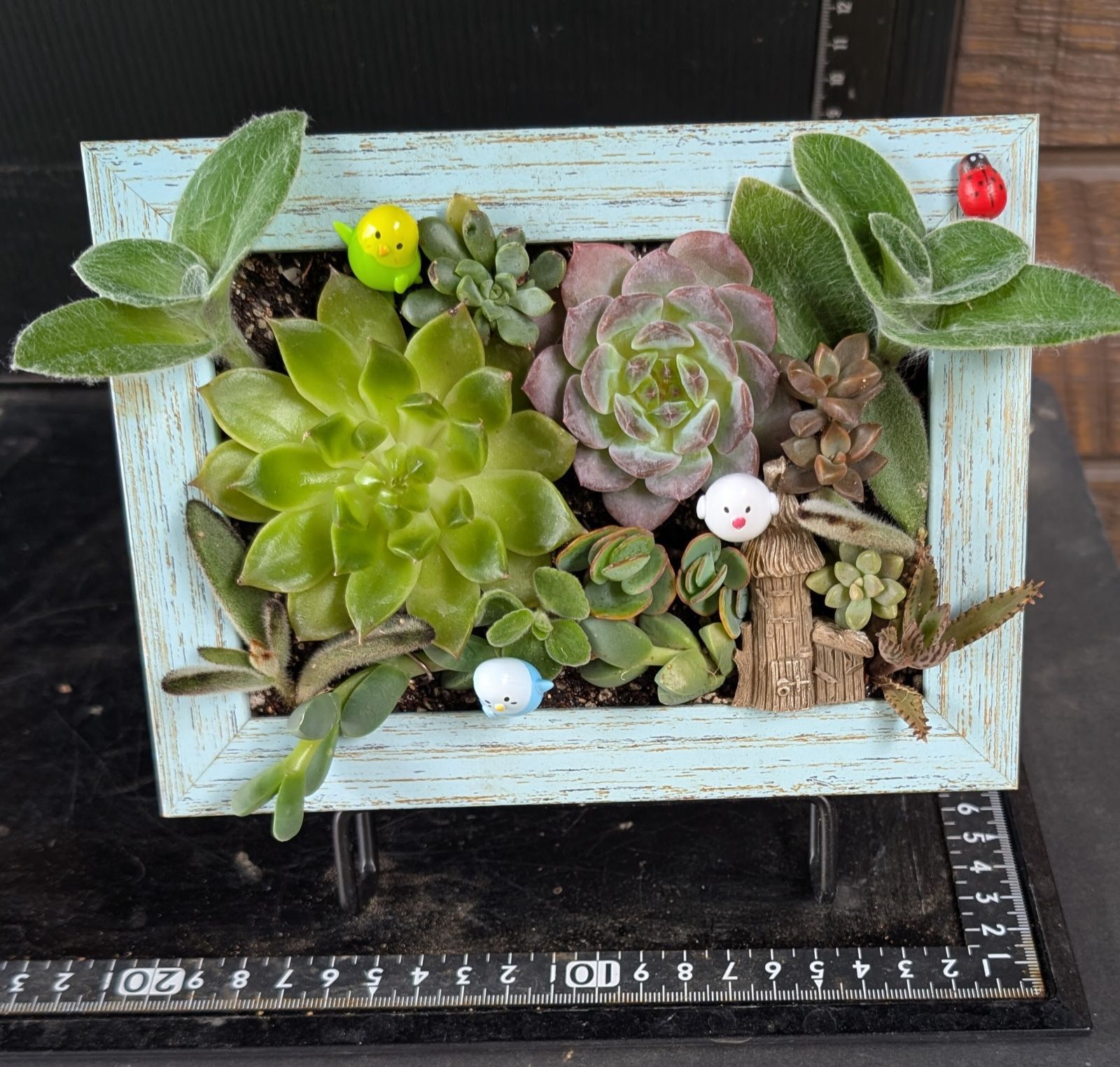 092402多肉植物の寄せ植え☆額縁作品 - メルカリ