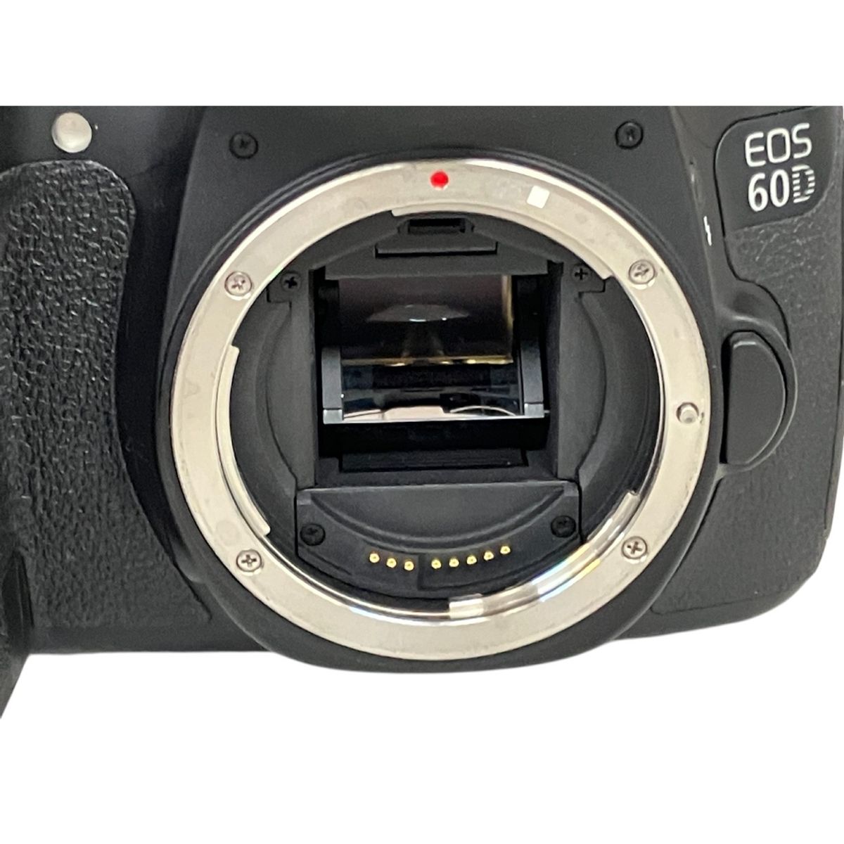✨思い出を美しく✨CANON EOS 60D✨デジタル一眼✨キヤノン✨自撮りOK キヤノン EOS 60D ボディ | デジタル一眼レフ