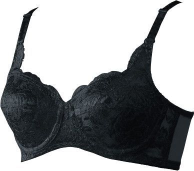 シャンデール ベル 最 補正下着 ブラジャー ブラック C 80 美バストライン リバーレース 定価26400円_P 15 検マルコ シャルレ