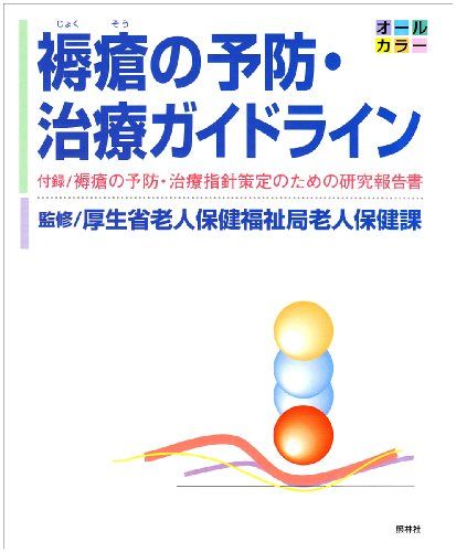 褥瘡の予防・治療ガイドライン: 付録/褥瘡の予防・治療指針策定のための研究報告書