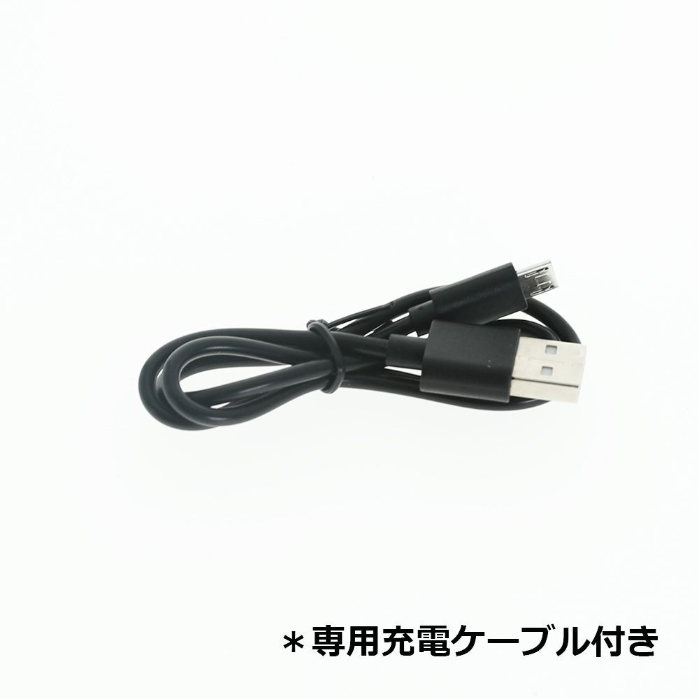 NIKON EN-EL19 MH-66 ニコン MicroUSB急速充電器 互換 - その他