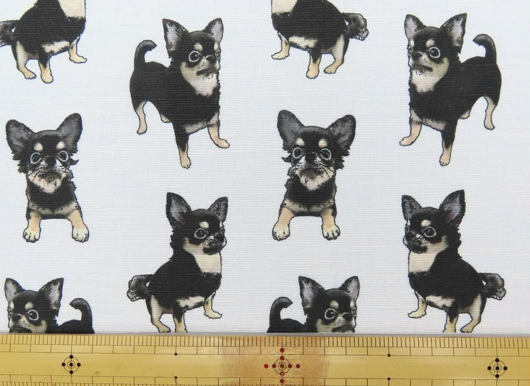 ゆきちゃん限定】X742 チワワ ブラックタン ホワイト 布 生地 1m