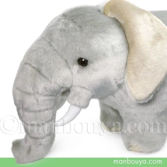 apostoys MUBNUB アポストイズ マブナブ 蓄光 スターウォーズ