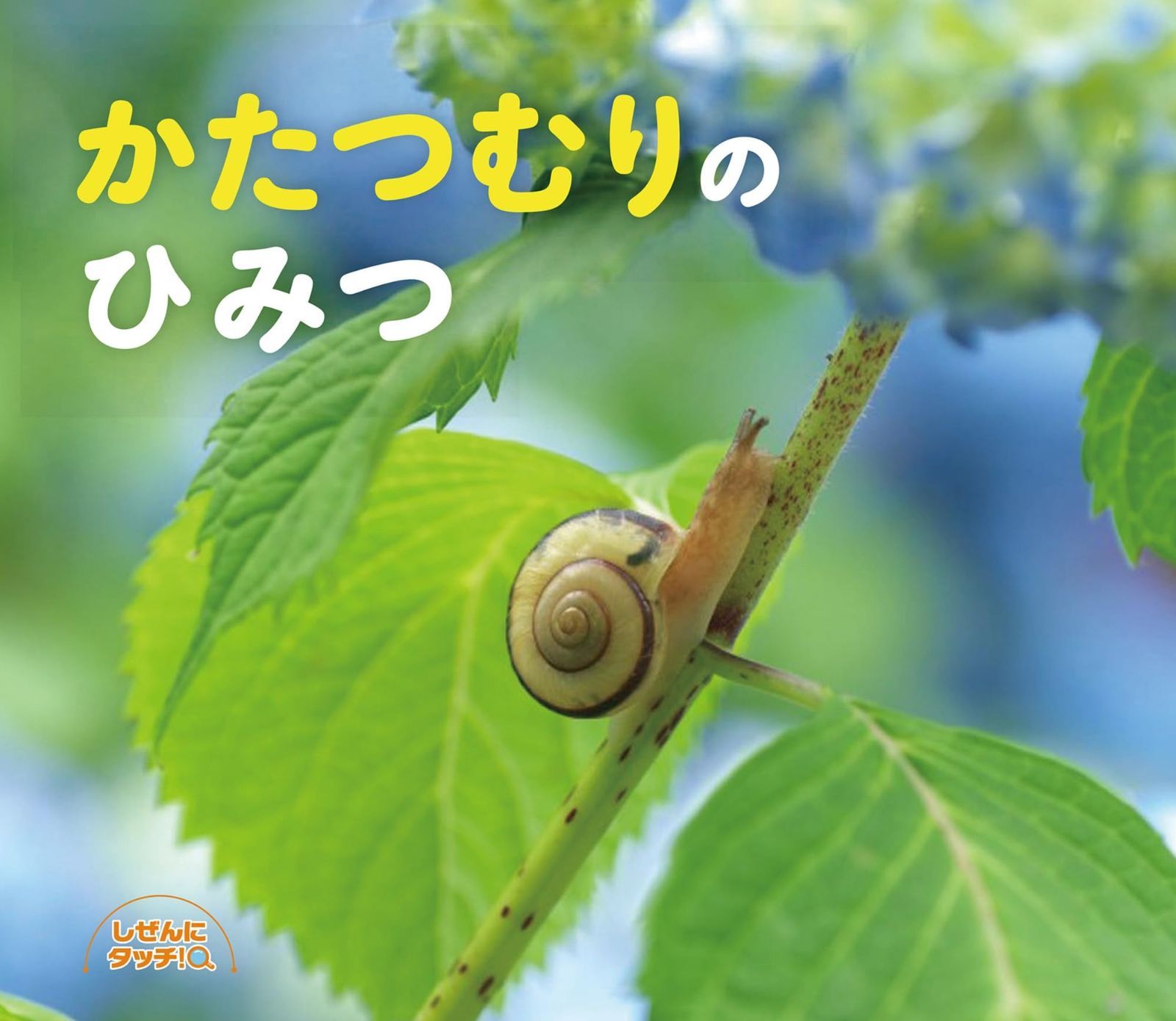 かたつむりのひみつ (しぜんにタッチ!)