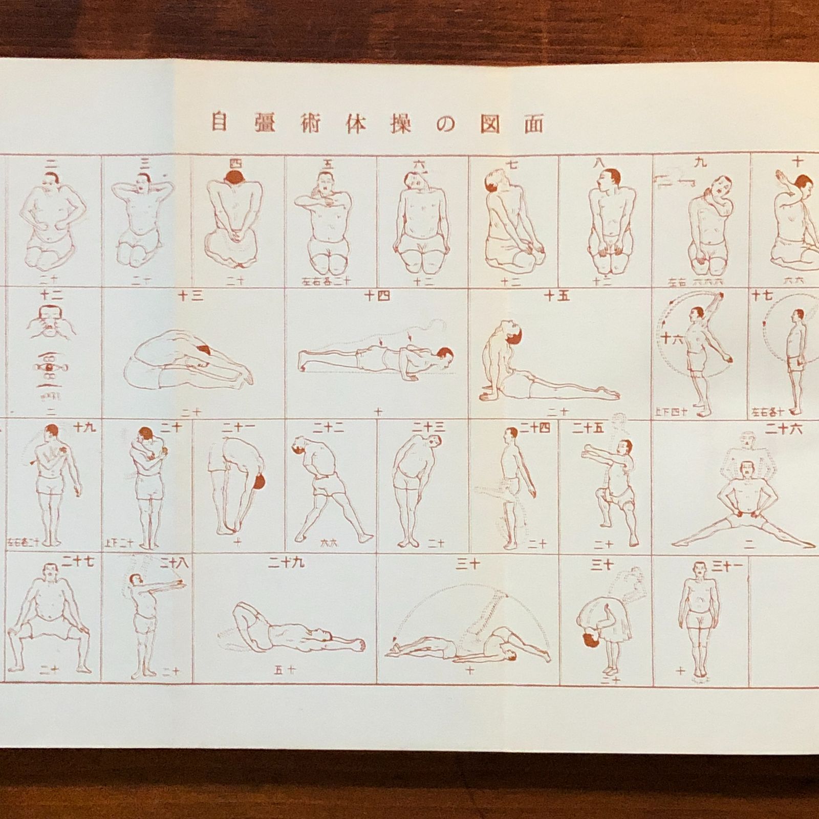 禅と自彊術健康法 : 健康と長寿の宝典 自彊術体操図解 : 健康の宝典 久家恒衞著 1967.1 人間医学社