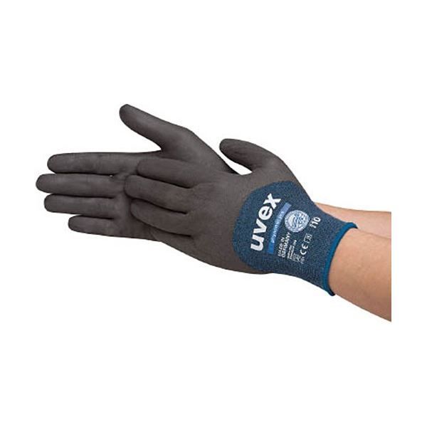 JIM DINE、RAINBOW、希少画集画、状態良好