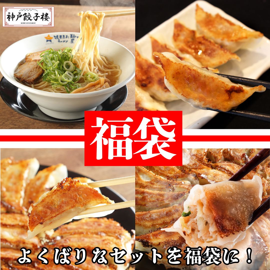 中身が見える福袋 通常11 440円が 価格にて!! 餃子三種150個 とりがら醤油ラーメン10食 冷凍食品 冷凍福袋 自家製麺 大盛り 中華セット 大容量 満足 食品 冷凍 ラーメン
