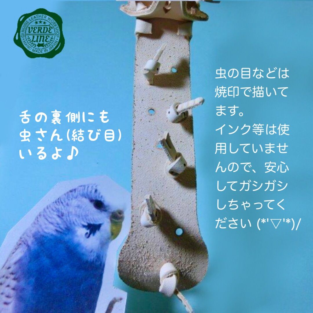 エリザベスカラー ハート柄／コザクラインコ用 毛引き対策 治療補助