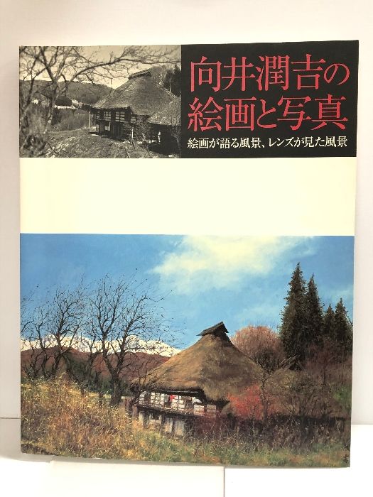 【図録】向井潤吉の絵画と写真 絵画が語る風景、レンズが見た景色 2002 世田谷美術館/神戸市立小磯記念美術館