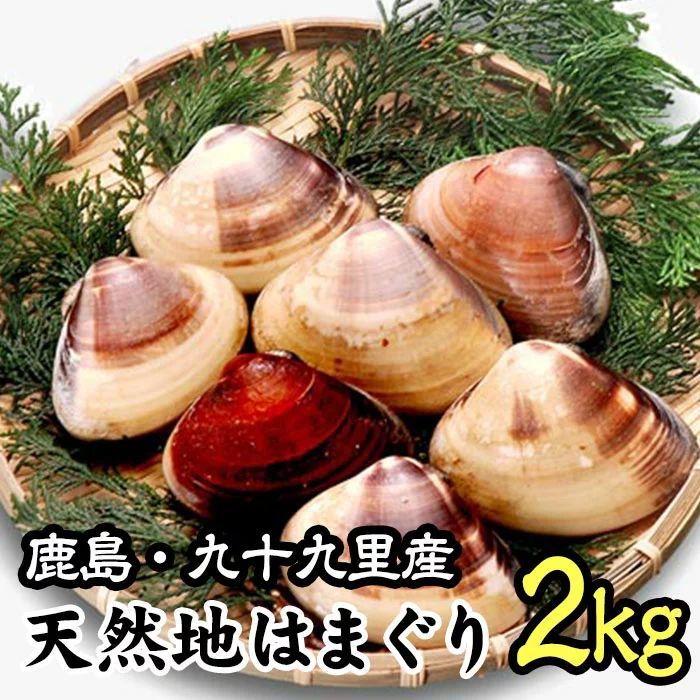 【鹿島・九十九里産】【ブランド】 【送料無料】国産 天然 特大 地はまぐり／2kg10~20個 ハマグリ 蛤 バーベキュー 貝 海鮮