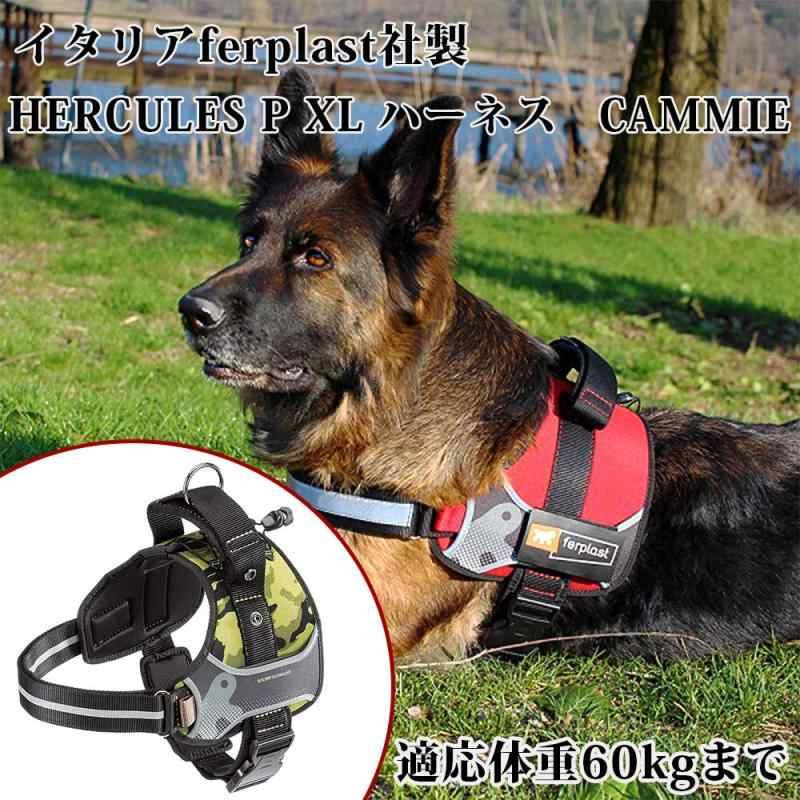 ファープラスト ヘラクレス HERCULES P ハーネス CAMMIE 適応体重60kg