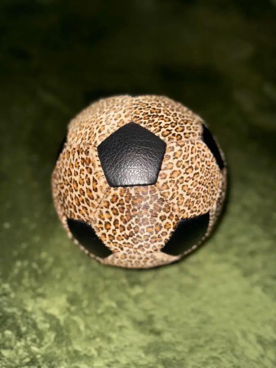 ネイバーフッド x