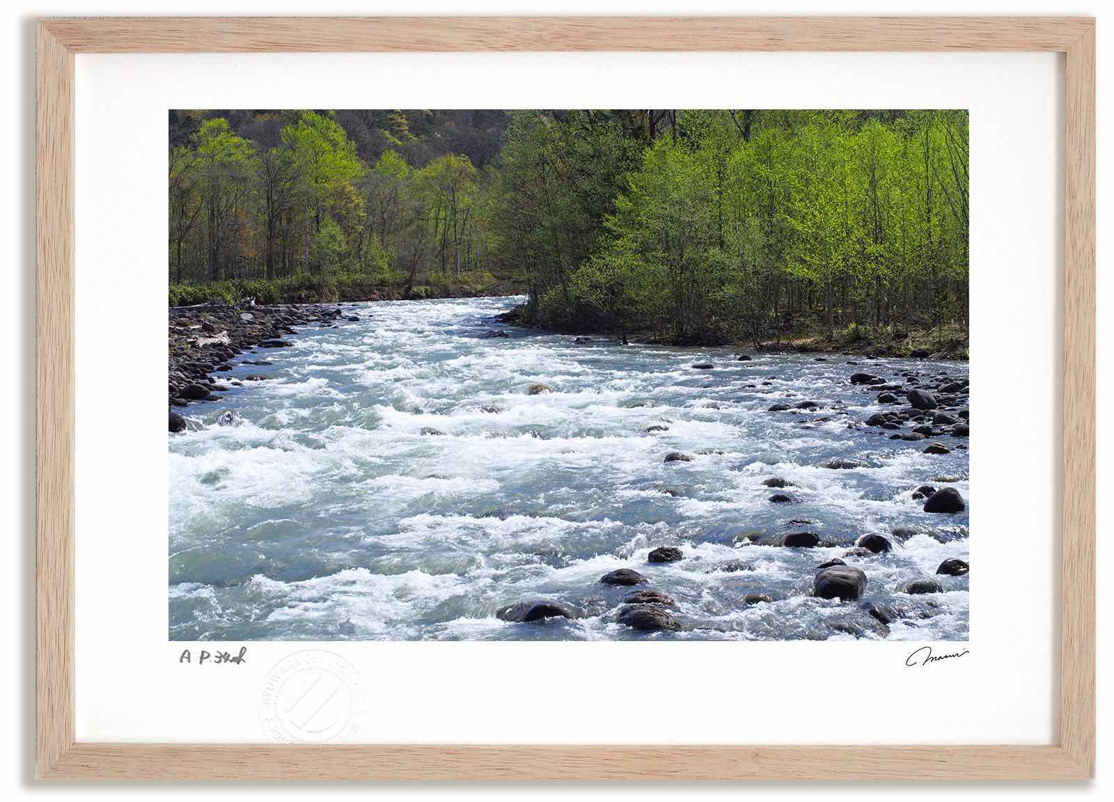 アートフォト 絵画 新緑5 高橋真澄/インテリア 額入り 額装込 風景画 油絵 ポスター アート アートパネル リビング 玄関 プレゼント モダン アートフレーム 飾る Mサイズ おしゃれ 壁掛け 絵