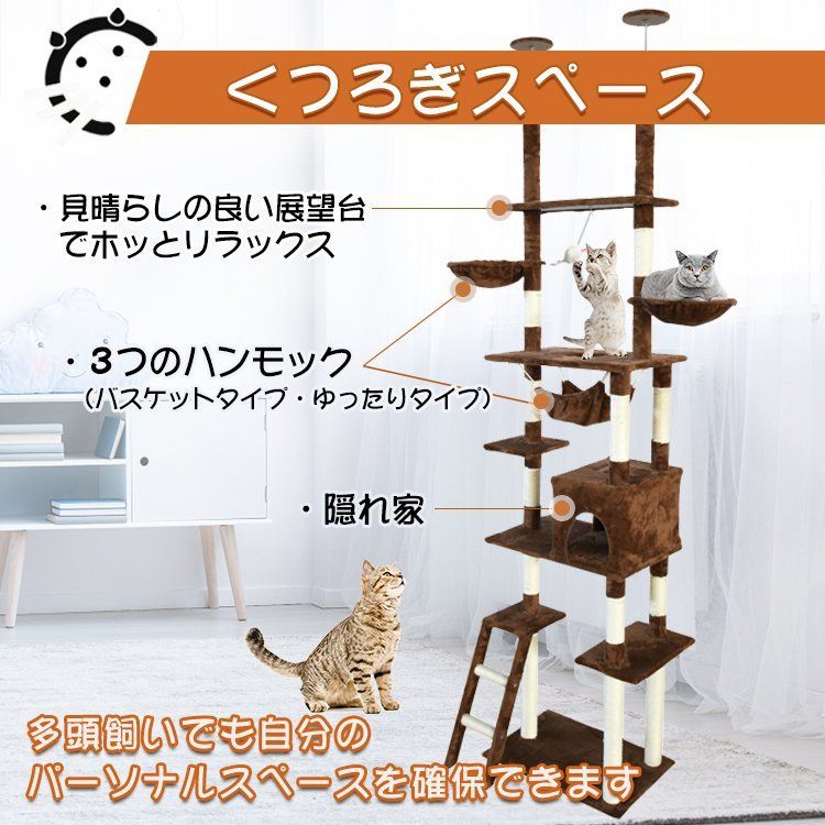 爪みがき 突っ張り