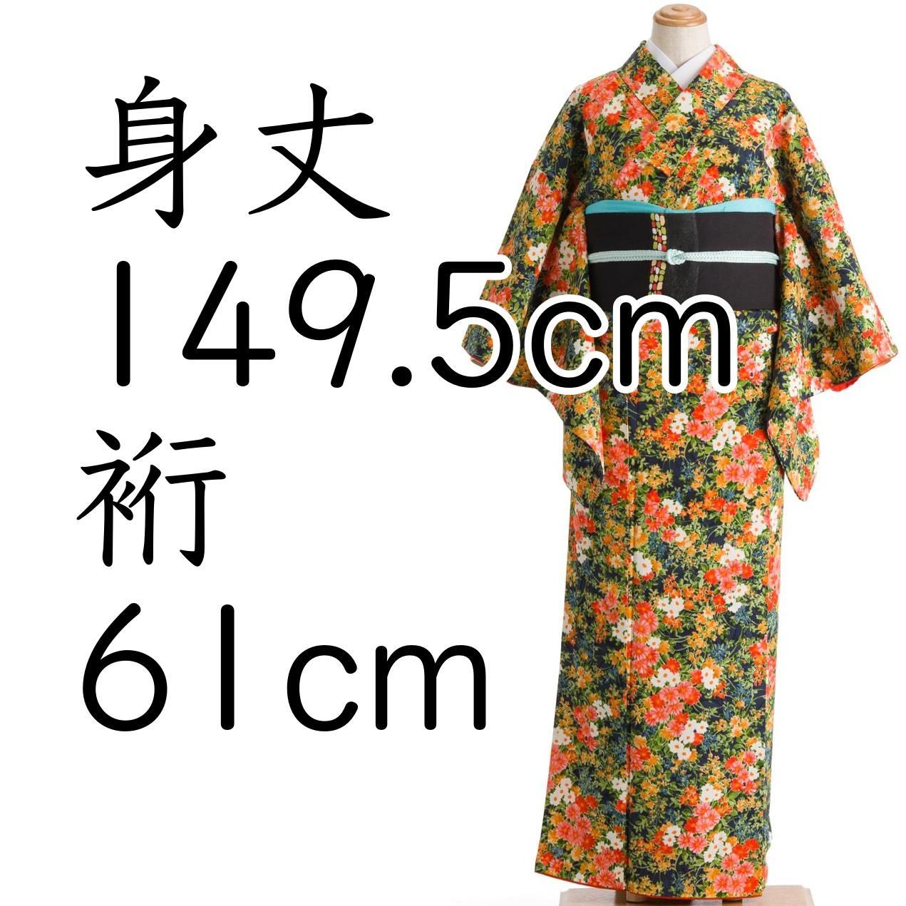 美品 夏着物 正絹 絽 トールサイズ“ご機嫌に風と桔梗や撫子”訪問着 H