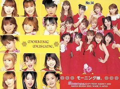モーニング娘。 14 トレカ UP-FRONTAGENCY2002 トレーディングカード No.14 ： モーニング