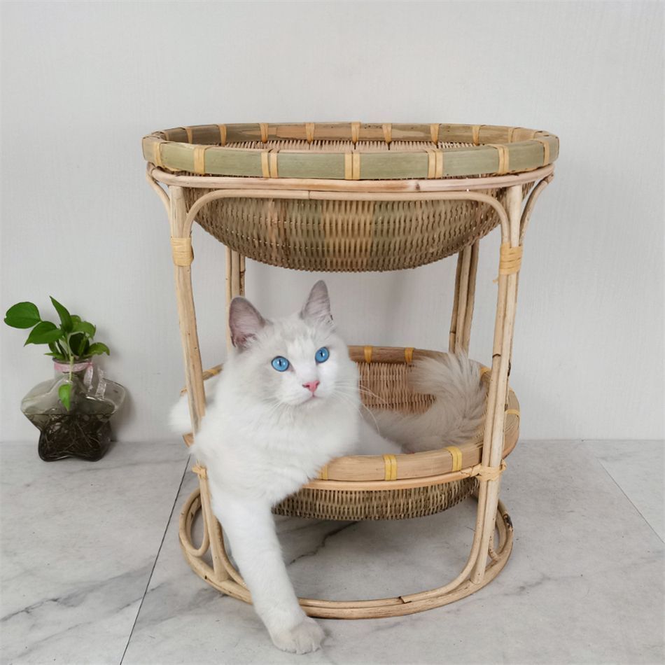 猫 小型犬