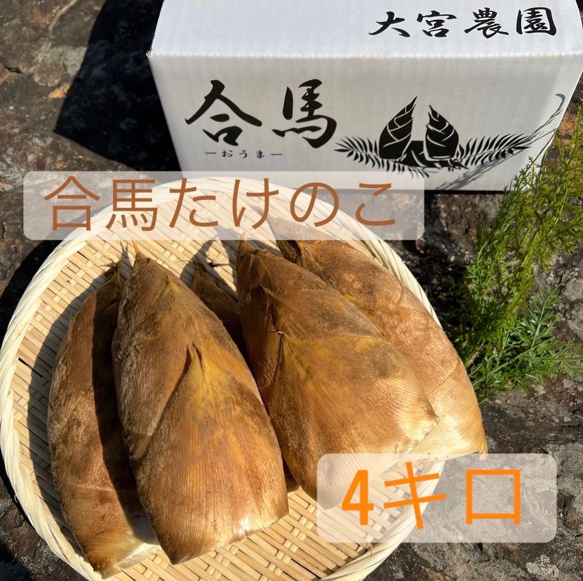 高級 合馬産たけのこ 4キロ 限定価格 送料込み