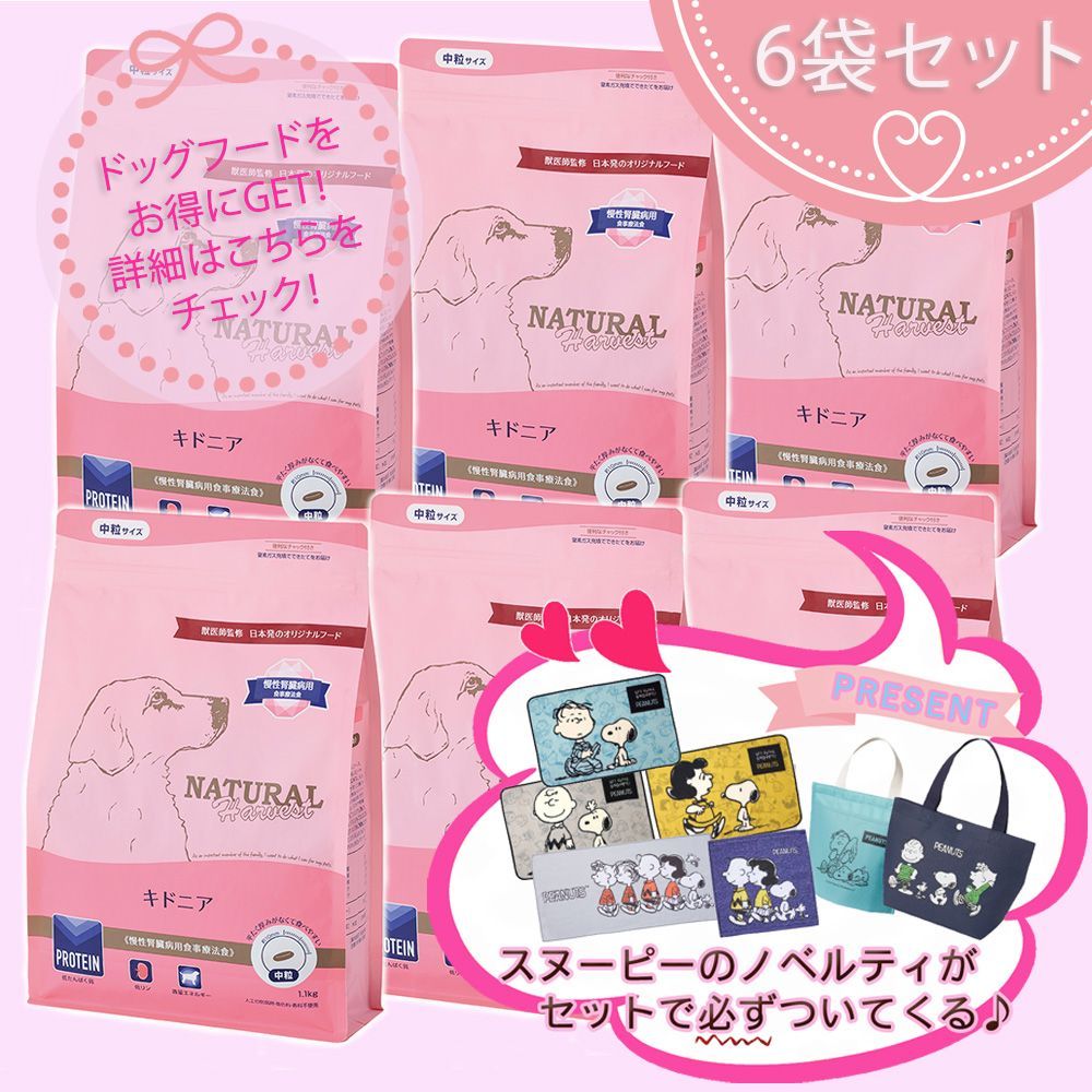 プレゼント付 キドニア 腎臓ケア用食事療法食 1.1kg×6袋セット ナチュラルハーベスト
