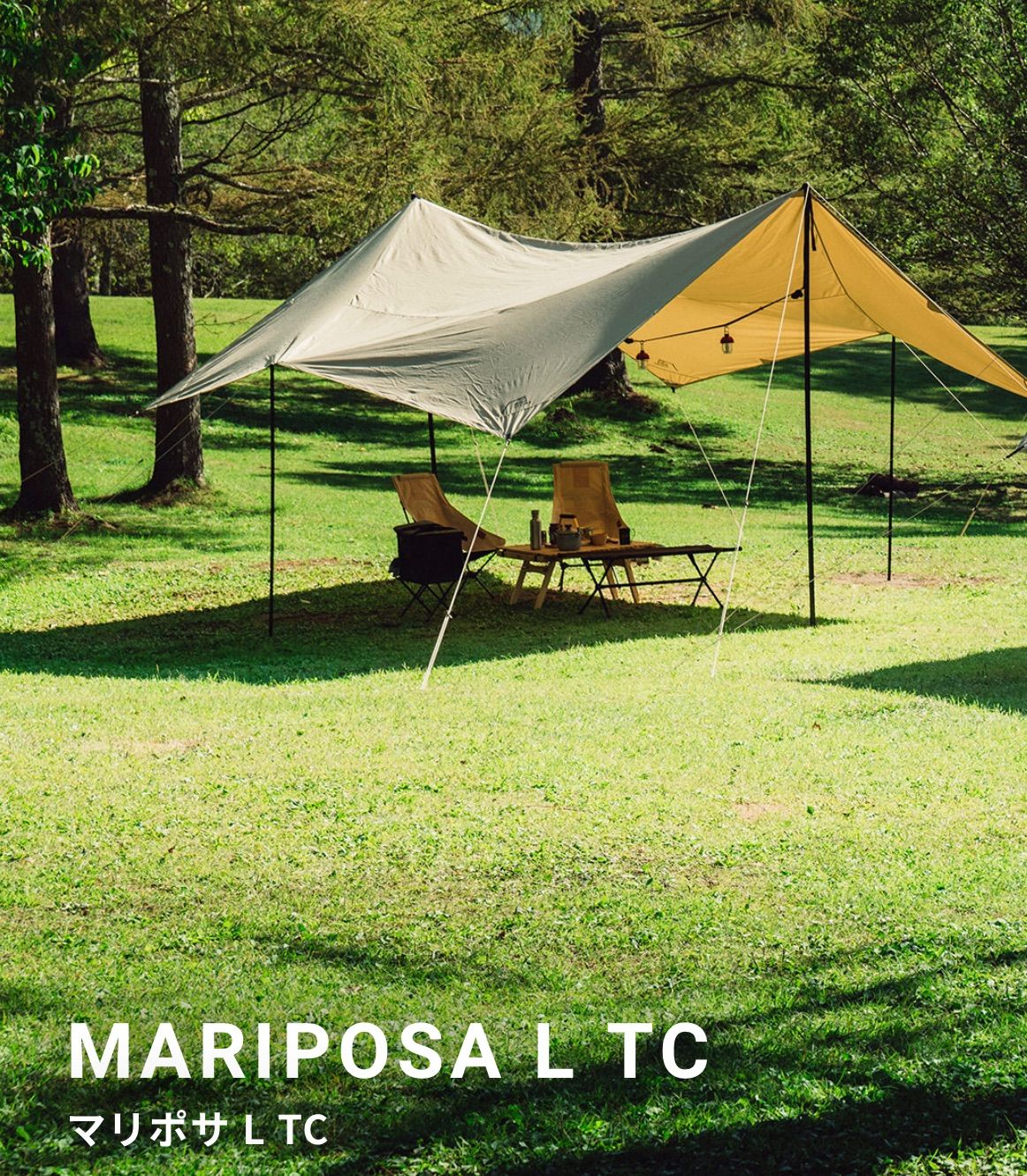 MARIPOSA L TC マリポサL マリポサ L TC - 通販 - pinehotel.info