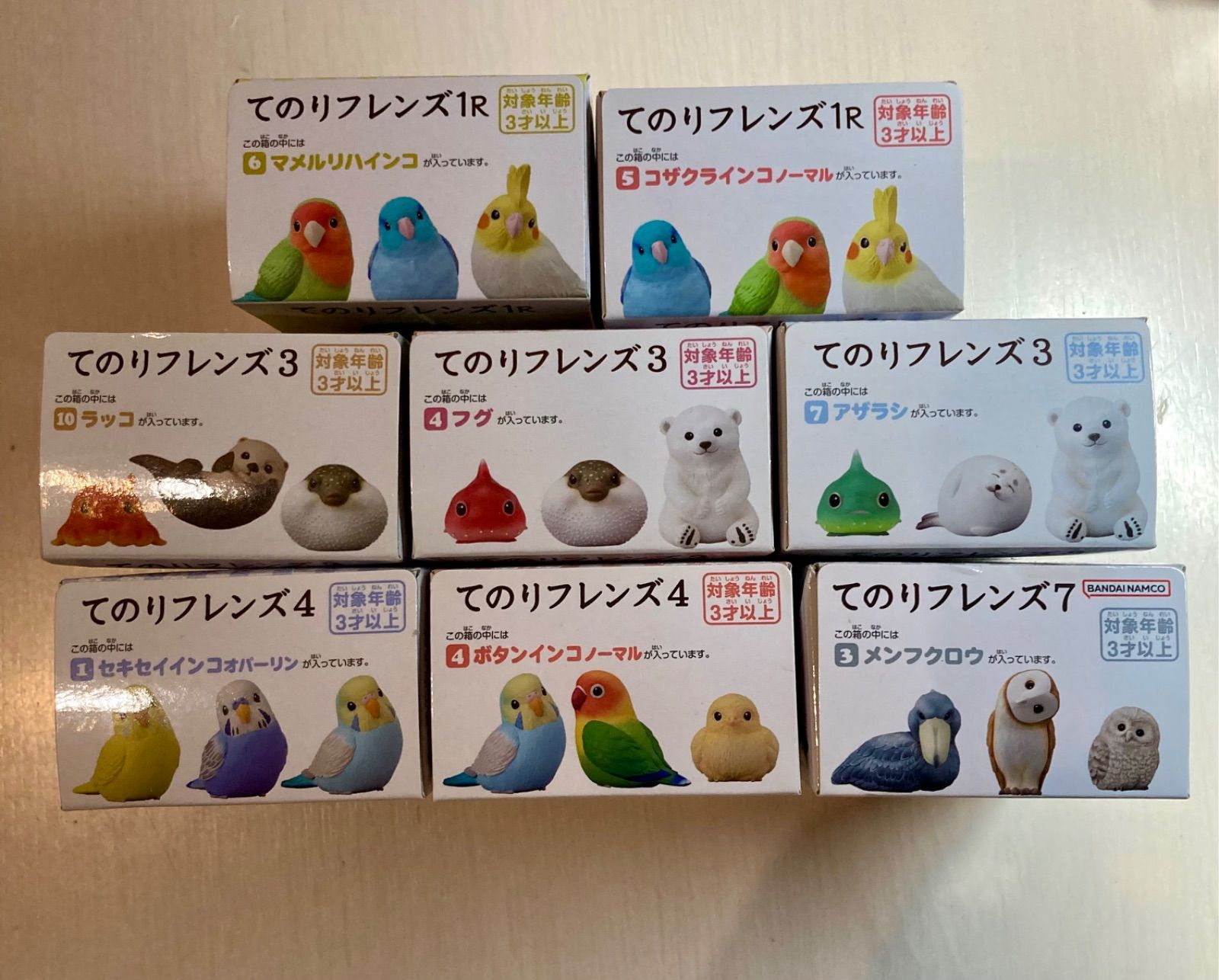 てのりフレンズ7 てのりフレンズ1R てのりフレンズ4 てのりフレンズ3